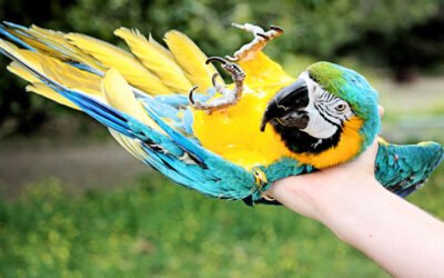 Entrenamientos y rutinas