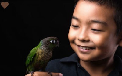 Antes de tener un loro