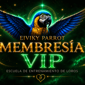 Membresía VIP – Mentoría 1-1 + Comunidad Eiviky Parrots